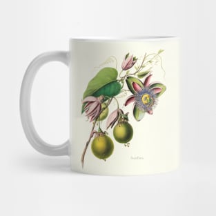 Passionfruit Flower from an Antique French Illustration Mug